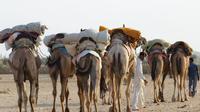 6-Day Private Royal Rajasthan Tour from New Delhi with Desert Camel Safari 