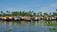 6-Day Private Tour: Periyar Wildlife Sanctuary and Backwater Houseboat Cruise in Kerala 