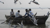 Ganga Ghat and Morning Rituals Guided Boat Tour in Varanasi