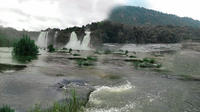 Private Day Tour: Athirappilly Falls and Vazhachal Falls Adventure from Kochi including Lunch 