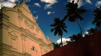 Private Half-Day Kochi City Tour with Chinese Fishing Nets and Museum
