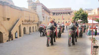 Private Tour: 2-Day Jaipur Tour including Elephant Ride at Amer Fort and Chokhi Dhani Dinner