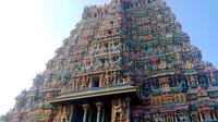 Private Tour: 5-Night South India Tour of UNESCO Heritage Temples