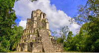 Private Tour to Muyil Ruins Tulum and Coba from Tulum