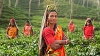3-Day Srimangal Tour image 1 3-Day Srimangal Tour image 1