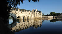 Guided Loire Castle Tour from Paris by Minibus