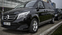 Luxury Van Private Arrival Transfer: Vienna International Airport