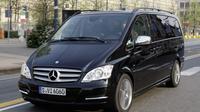 Moscow SVO Airport Luxury Van Private Departure Transfer