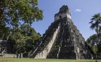 Day Trip to Tikal Maya Ruins Including Lunch