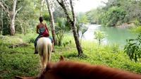 Horseback Riding and Tour in San Lorenzo Organic Farm