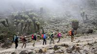 7-Days Mount Kilimanjaro Trekking Via Machame Route From Arusha 