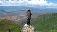 4-Day Usambara Hiking from Lushoto Town: Mtae to Mzumbai