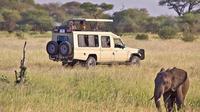 Full-Day Lake Manyara Tour from Arusha