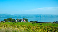 Small Group Tour to Biblical Highlights of the Galilee from Jerusalem