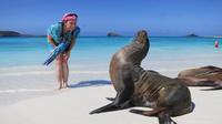 Galapagos Top Excursions Pass