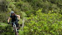 Mindo Bike Rental