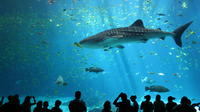 2-Day Madame Tussauds Bangkok and SEA LIFE Bangkok Ocean World Admission Tickets