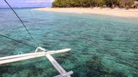 Balicasag Island Day Trip