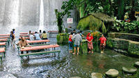 Villa Escudero Day Trip with Lunch from Manila