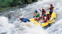 White Water Rafting and Elephant Trekking 