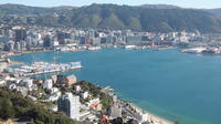 Wellington City Scenic Private Tour