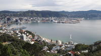 Wellington City Scenic Tour