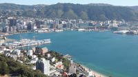 Wellington Shore Excursion: City Scenic Private Tour