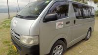 Private Transfer: Nadi Airport to Coral Coast - 13 to 15 Seat Vehicle