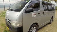 Private Transfer: Nadi Airport to Coral Coast - 9 to 12 Seat Vehicle