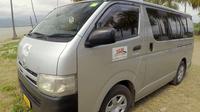 Private Transfer: Nadi Airport to Pacific Harbour - 13 to 15 Seat Vehicle