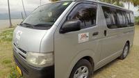 Private Transfer: Nadi Airport to Pacific Harbour - 9 to 12 Seat Vehicle