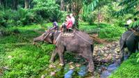 Huay Tho Waterfall Safari avec Elephant Trekking et Baignade à Krabi