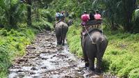 Huay Tho Waterfall Safari with Elephant Trekking and Bathing in Krabi