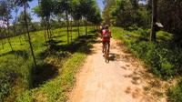 Krabi Countryside Eco Cycling Tour - Multiple Levels