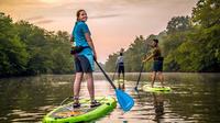 Guided Stand Up Paddle Tour in Asheville