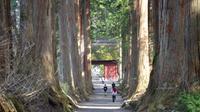 戸隠の自然を楽しむハイキングと忍者1日ツアー 戸隠の自然を楽しむハイキングと忍者1日ツアー