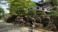 長野でのスノーモンキーとサイクリング全日ツアー 長野でのスノーモンキーとサイクリング全日ツアー