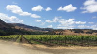 Santa Barbara Wine Lovers Tour