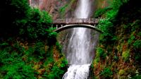 Columbia River Gorge Waterfalls Tour from Portland