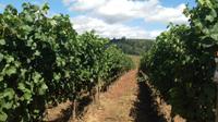 Willamette Valley Wine-Tasting from Portland