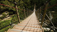 Nantou Walking On Sky Ladder Day Tour from Taipei