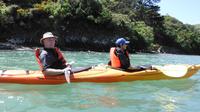 Excursion en bord de mer : Safari en kayak avec la faune marine à Akaroa Excursion en bord de mer : Safari en kayak avec la faune marine à Akaroa