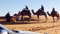 Sahara Camel Trek and Cultural Private Tour from Marrakech