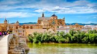 Alcazar, Mosque of Cordoba, Jewish Quarter and Synagogue: Guided Day Tour from Seville 