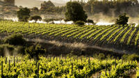 Colchagua Valley Wine Tour de Santiago