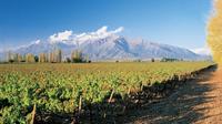 Maipo Valley Vignobles Tour de Santiago