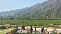 Vignobles Premium: Casablanca, Colchagua ou Maipo Vallées