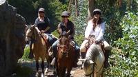 Horseback Riding Tour to Sacsayhuaman, Quenqo, Puka Pucara and Tambomachay