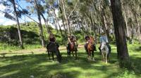 Mystical Horseback Riding Tour from Cusco 