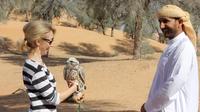 Grupos pequeños: Falcon 2 - Safari de cetrería en Dubái Grupos pequeños: Falcon 2 - Safari de cetrería en Dubái
